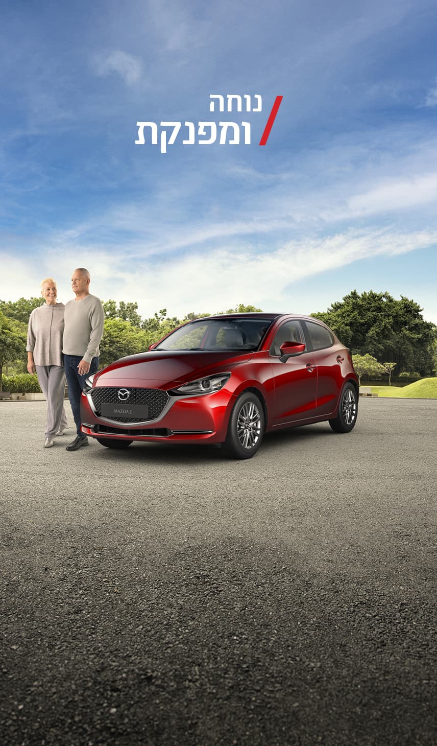 בדיקות וילון אחורי